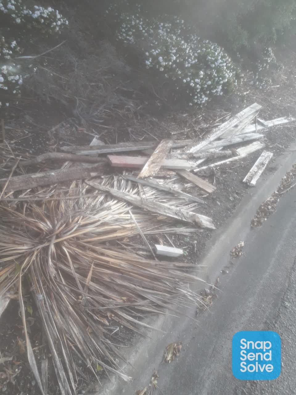 The photograph attached to this parks report