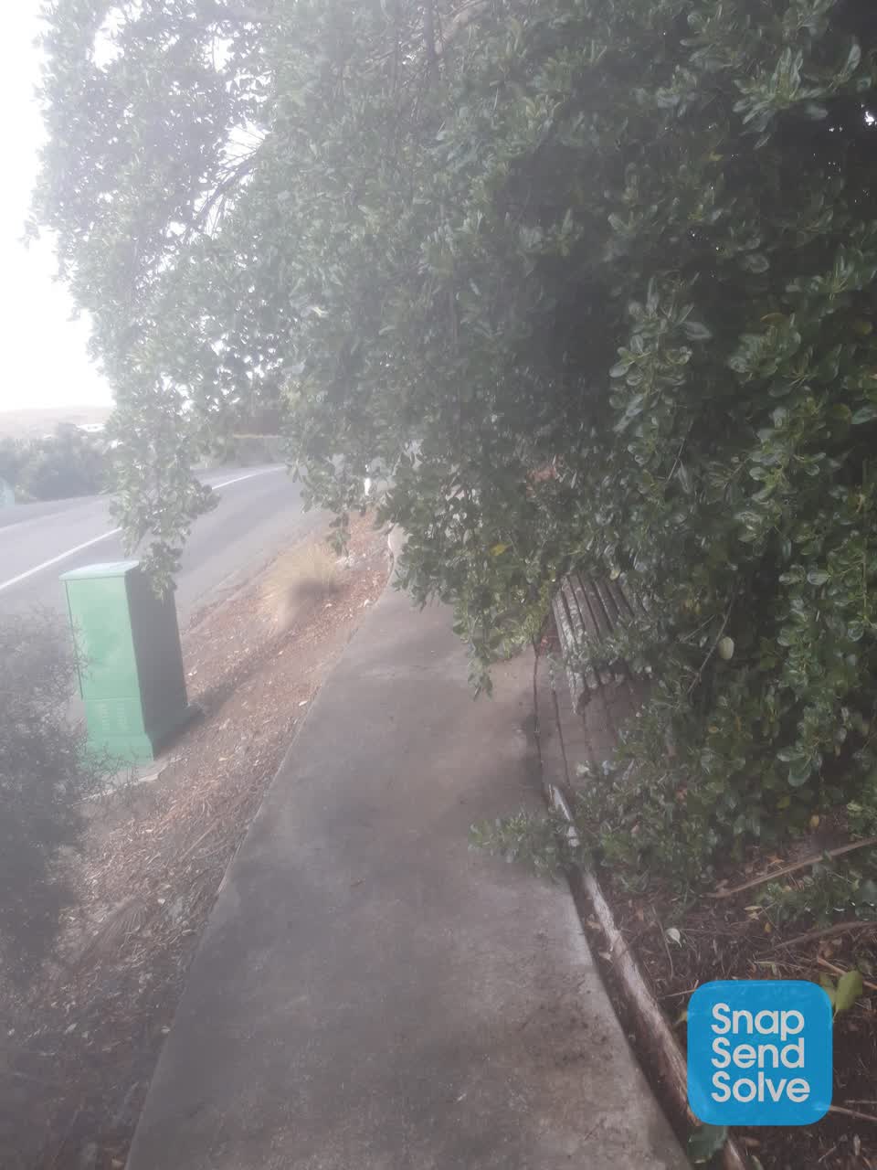 The photograph attached to this parks report