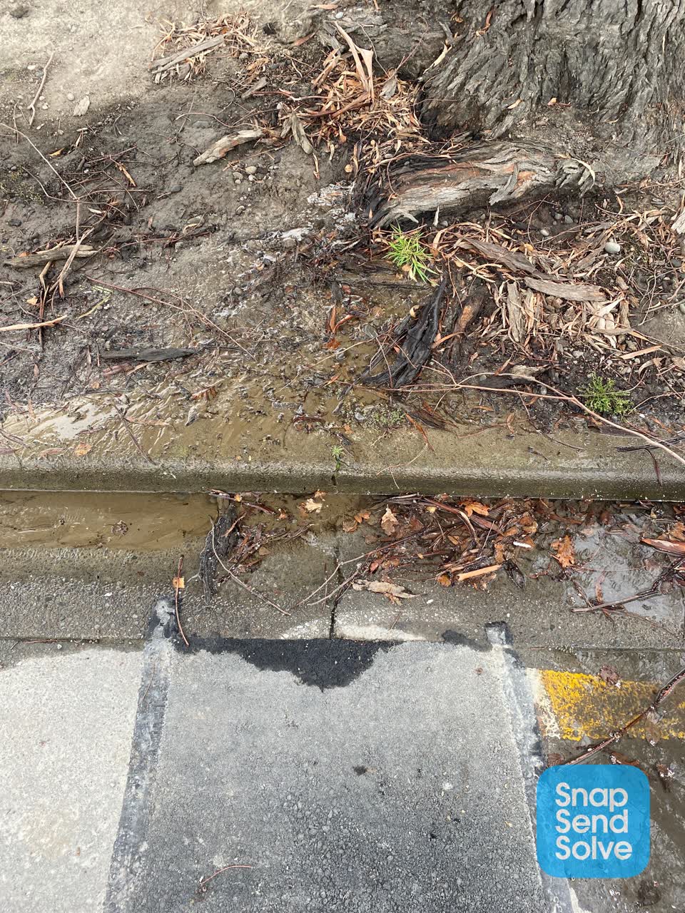 The photograph attached to this water leak report