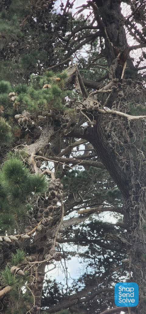 Parks — a report photo