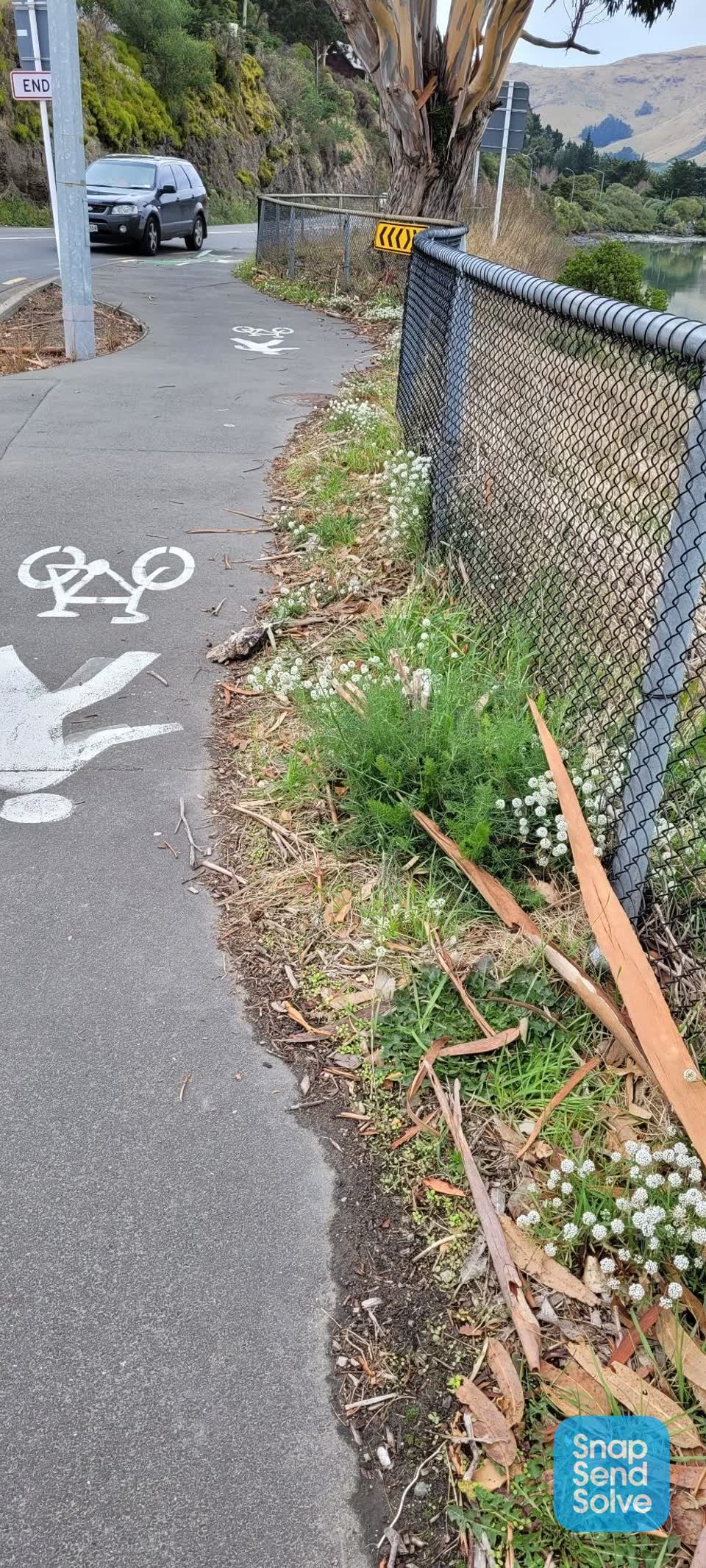 The photograph attached to this roading/streets report