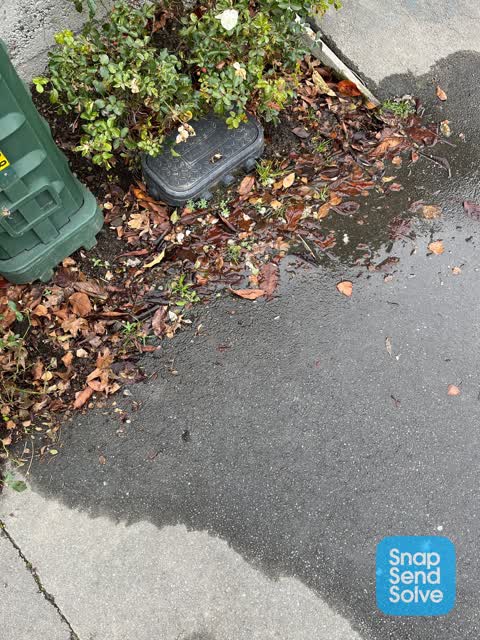 Water Leak, a report photo