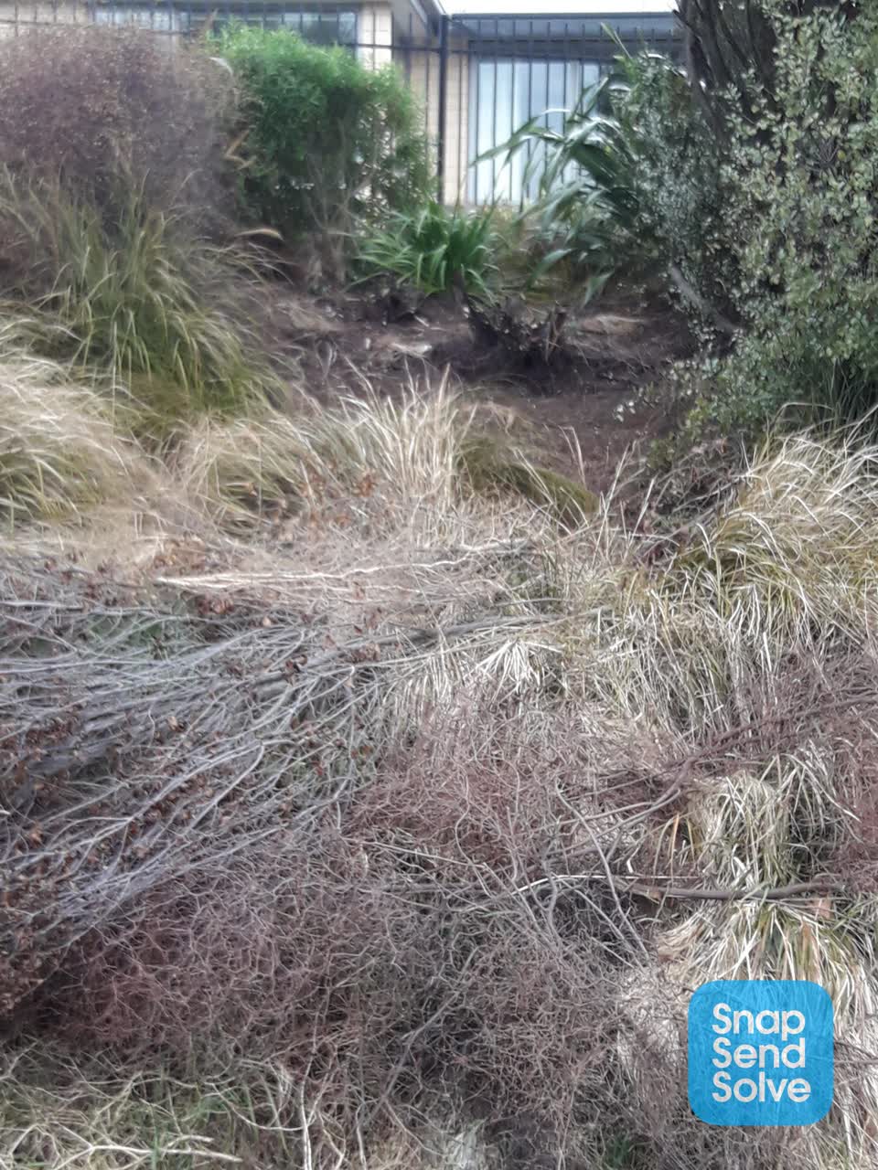 The photograph attached to this parks report
