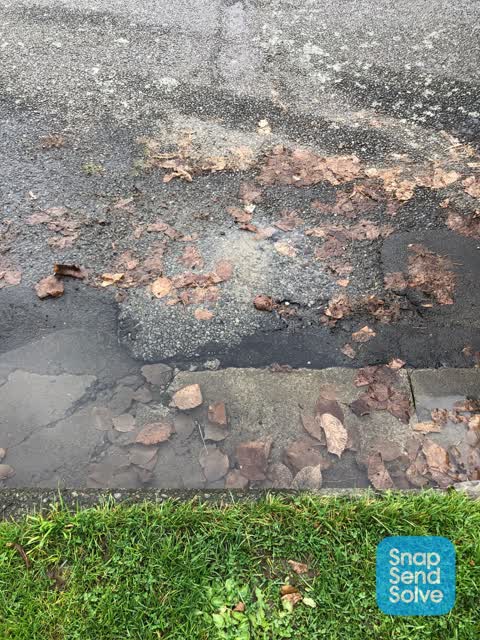 Water Leak, a report photo