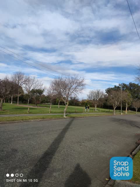 Parks, a report photo