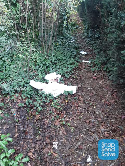 Rubbish/Recycling, a report photo