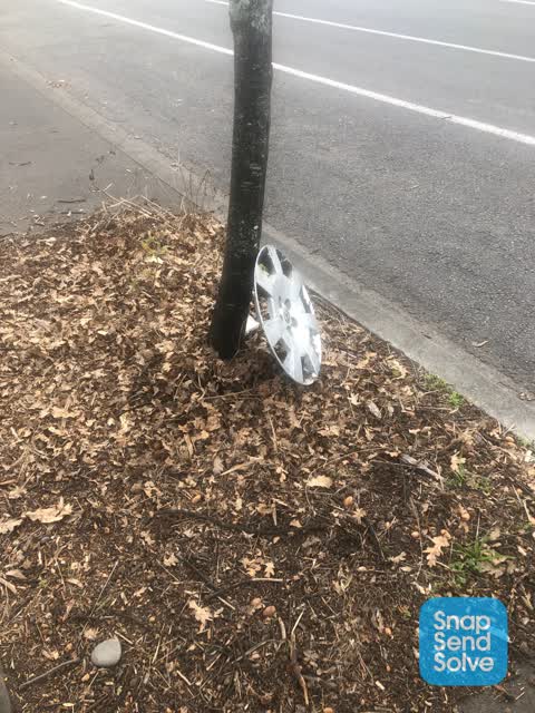 Rubbish/Recycling, a report photo