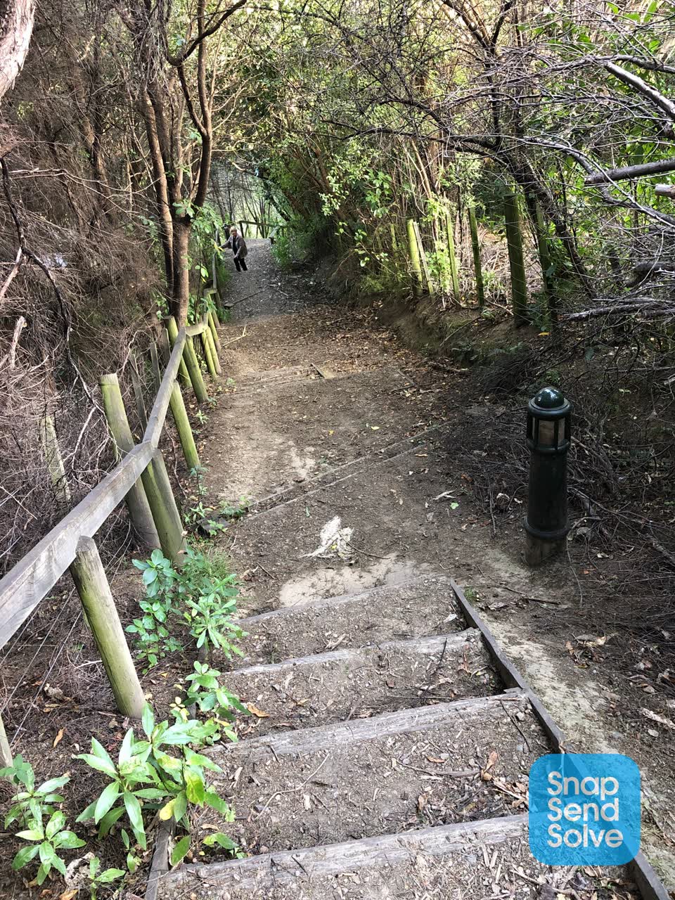 The photograph attached to this parks report