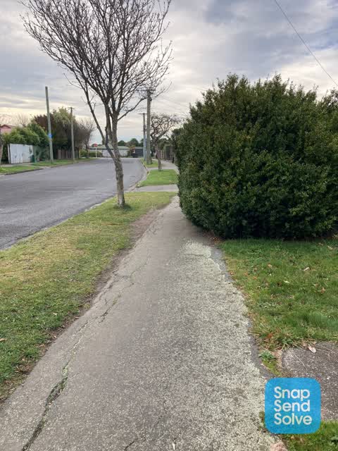 Roading/Streets, a report photo