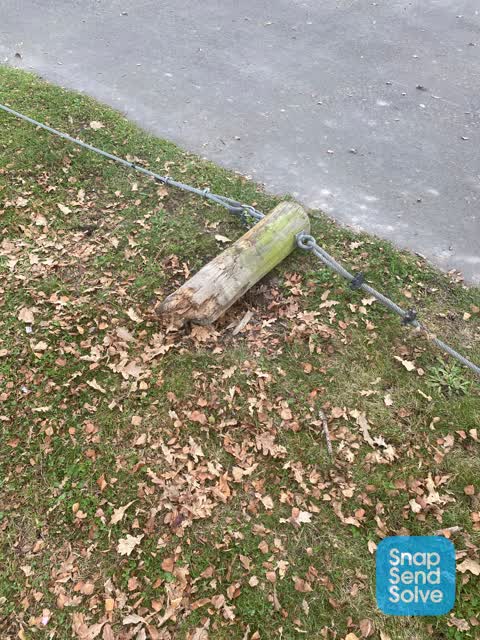 Parks — a report photo