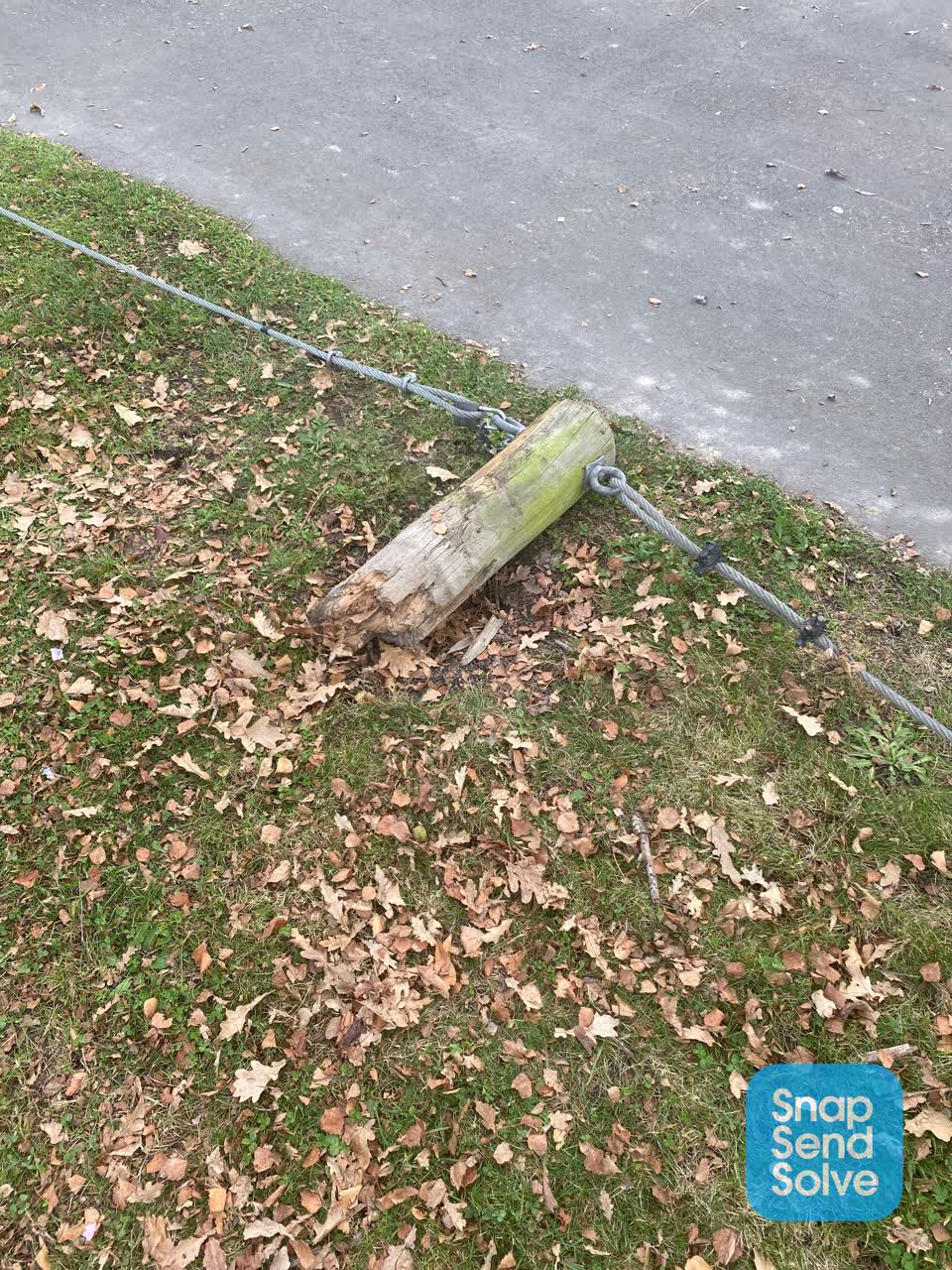 The photograph attached to this parks report