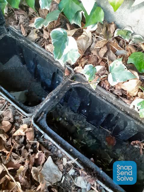 Water Leak, a report photo