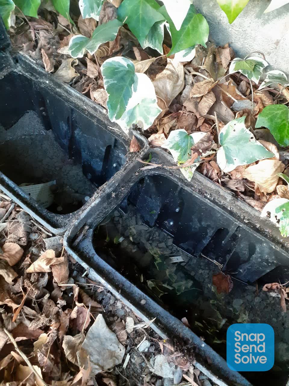 The photograph attached to this water leak report
