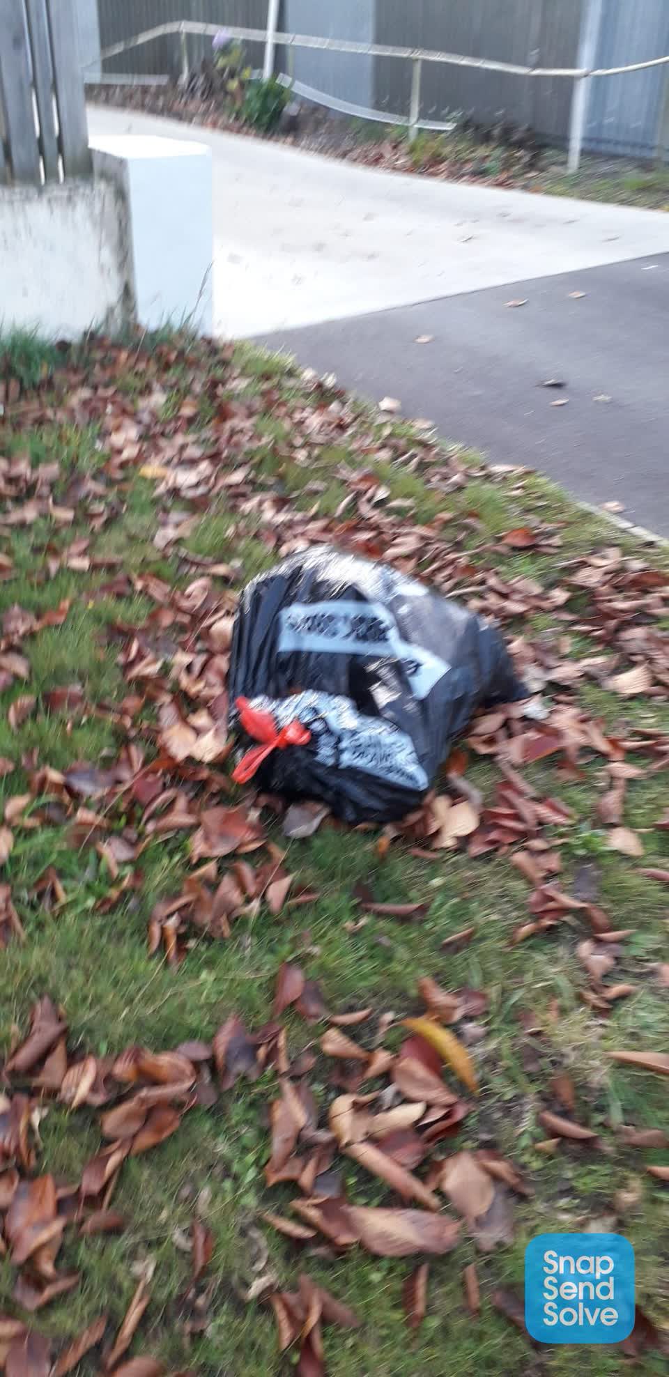 The photograph attached to this rubbish/recycling report