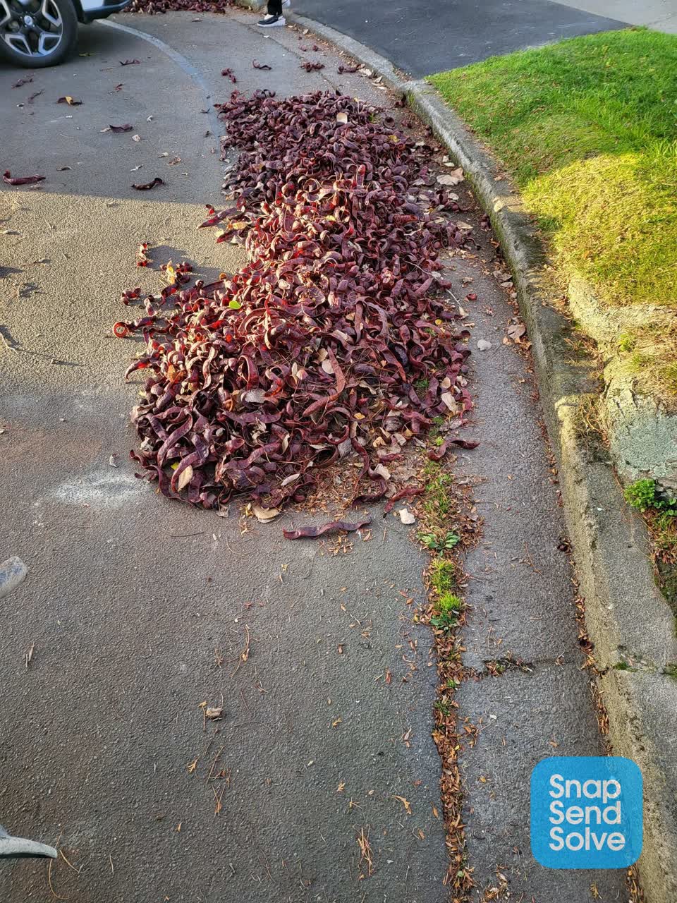 The photograph attached to this roading/streets report