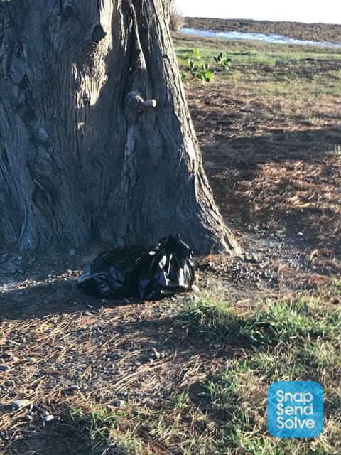 Rubbish/Recycling — a report photo