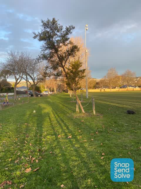 Parks, a report photo