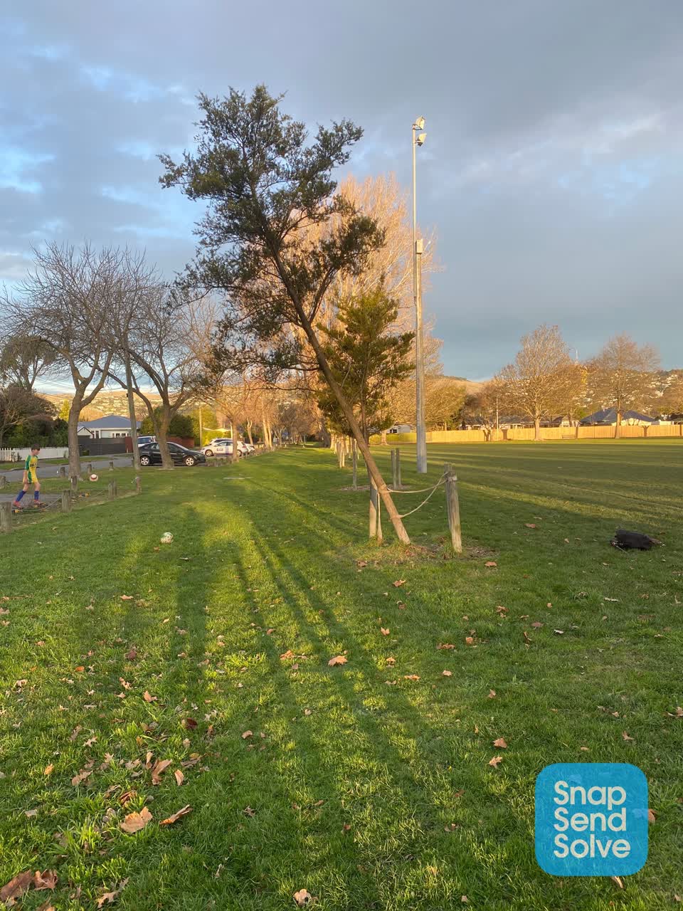 The photograph attached to this parks report