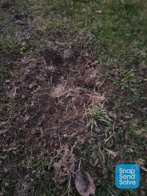 Parks, a report photo