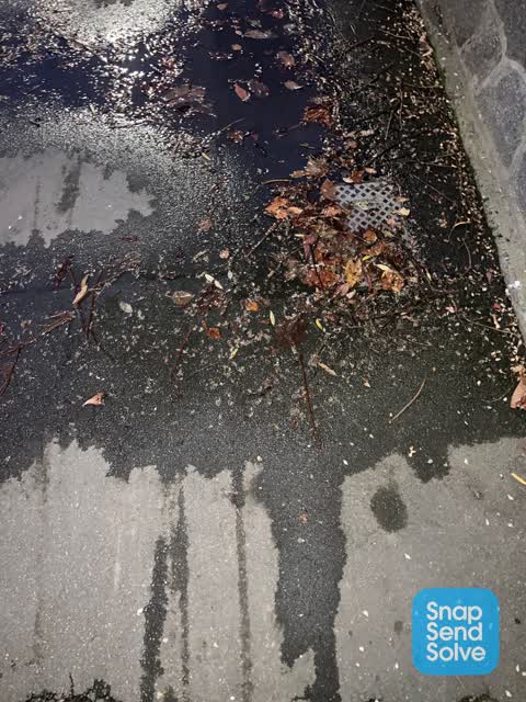 Water Leak, a report photo