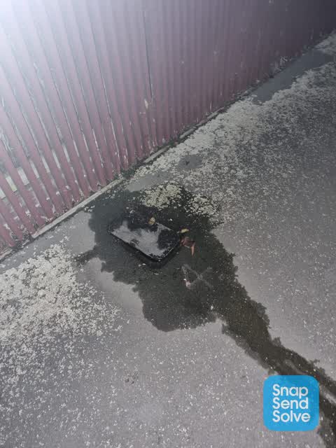 Water Leak, a report photo