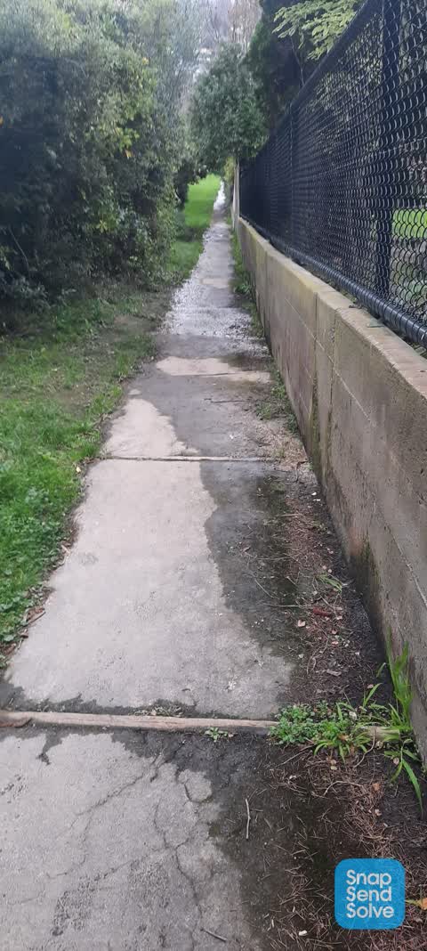 Water Leak, a report photo