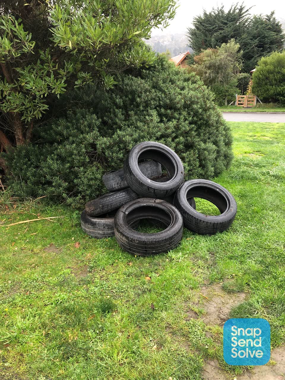 The photograph attached to this rubbish/recycling report