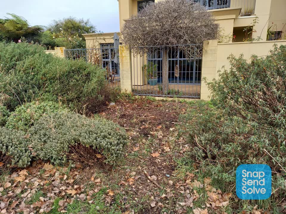 The photograph attached to this parks report
