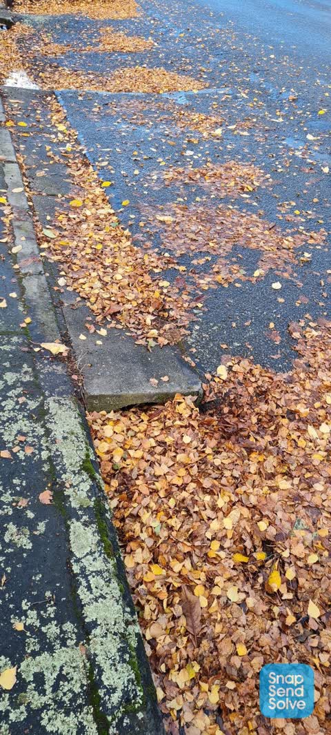 Wastewater/Stormwater, a report photo