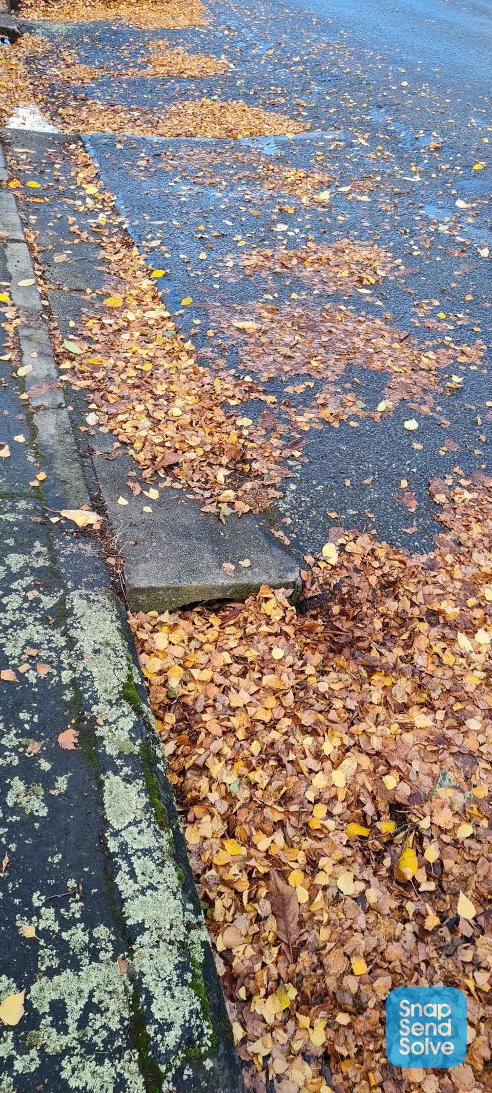 The photograph attached to this wastewater/stormwater report
