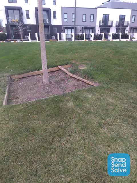 Parks — a report photo