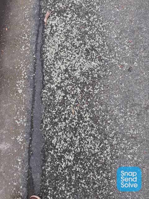 Roading/Streets, a report photo