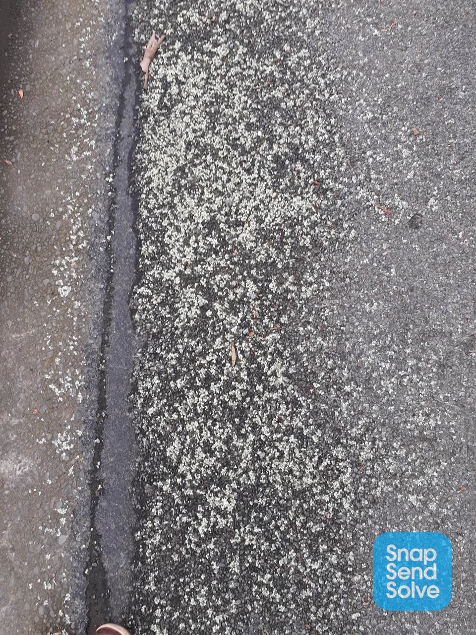 The photograph attached to this roading/streets report