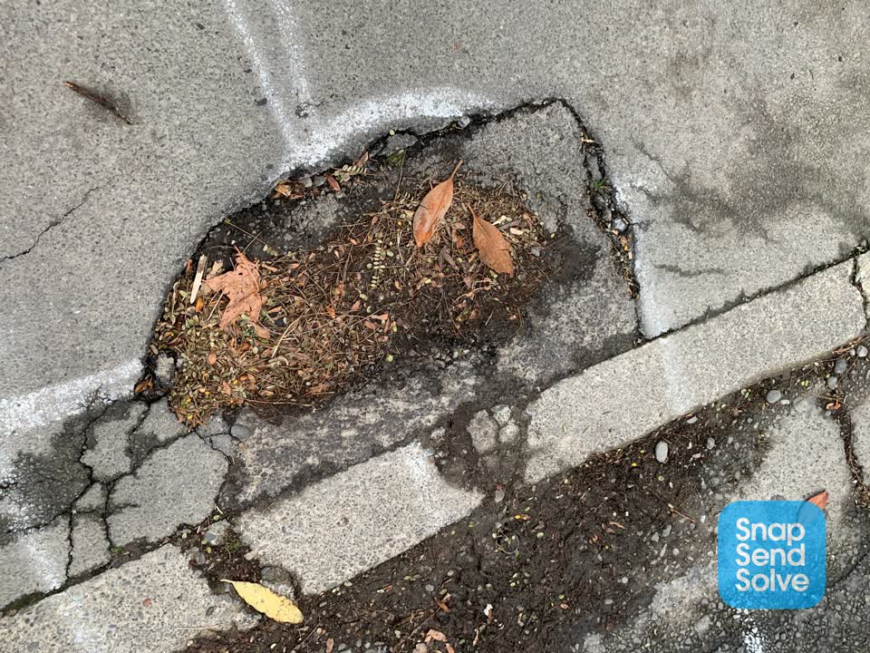 The photograph attached to this roading/streets report