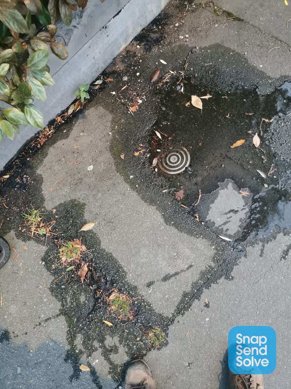 The photograph attached to this water leak report