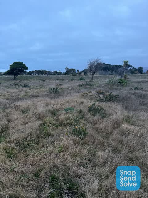 Parks, a report photo