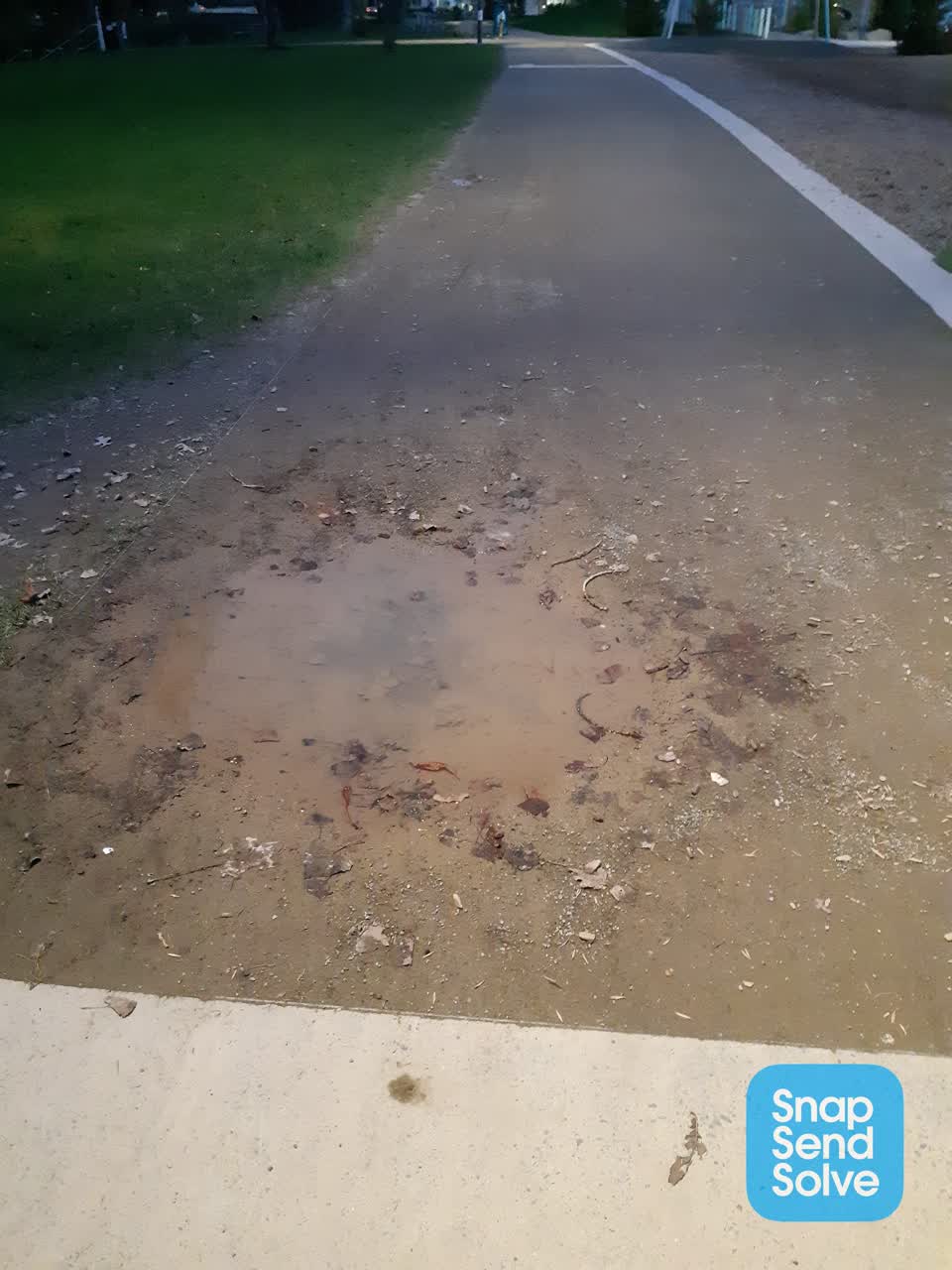 The photograph attached to this parks report