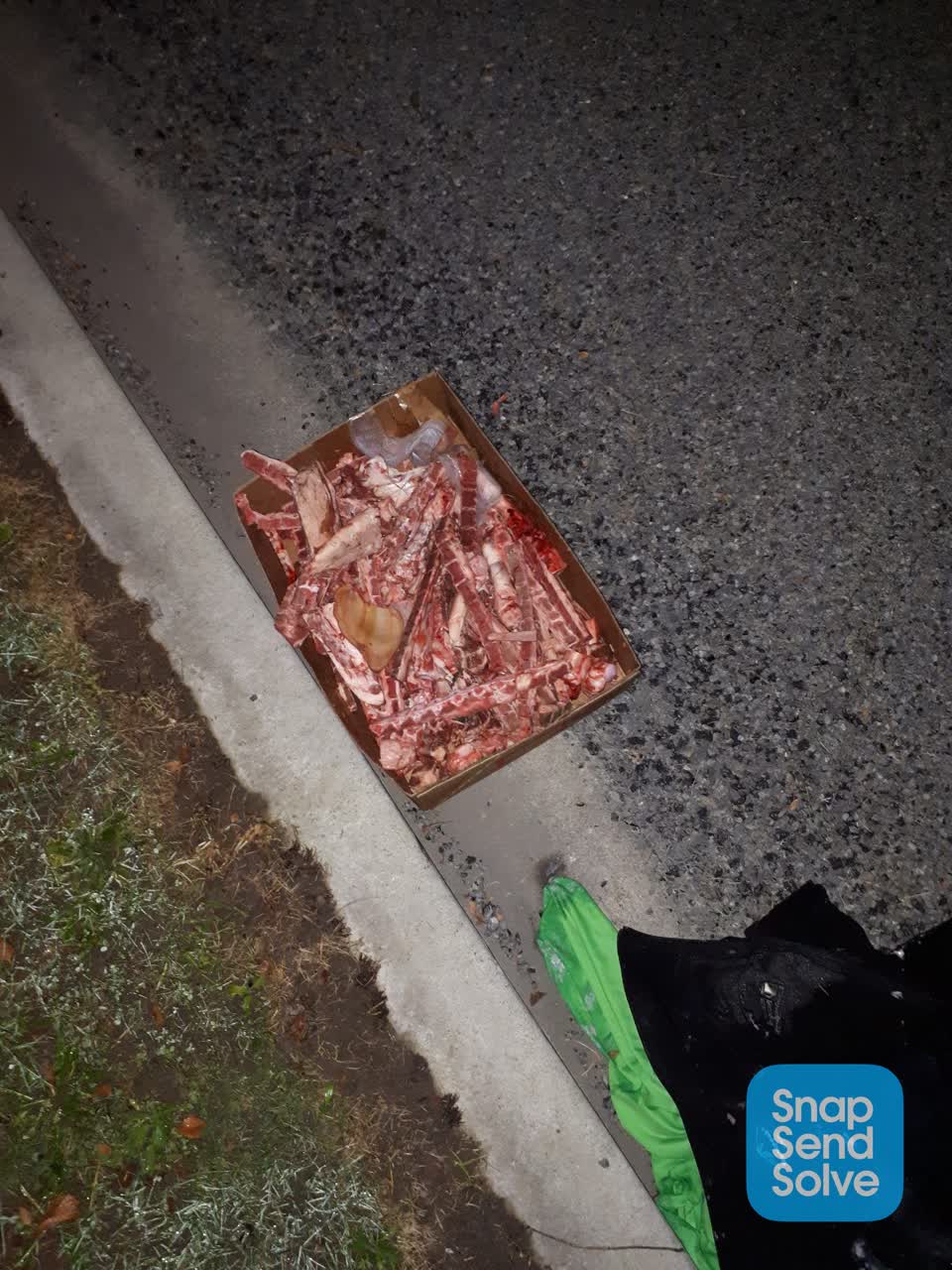The photograph attached to this rubbish/recycling report