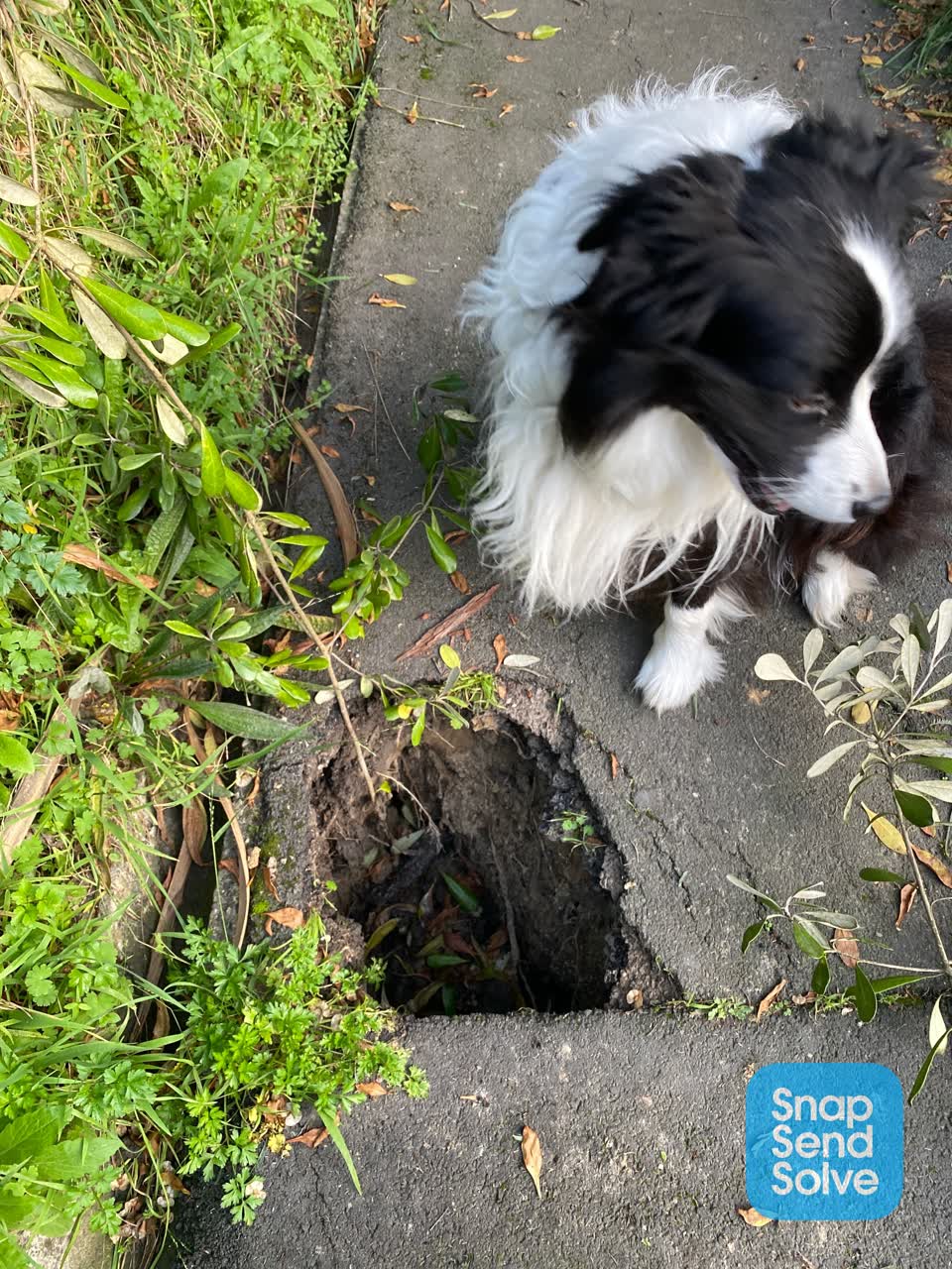 The photograph attached to this roading/streets report