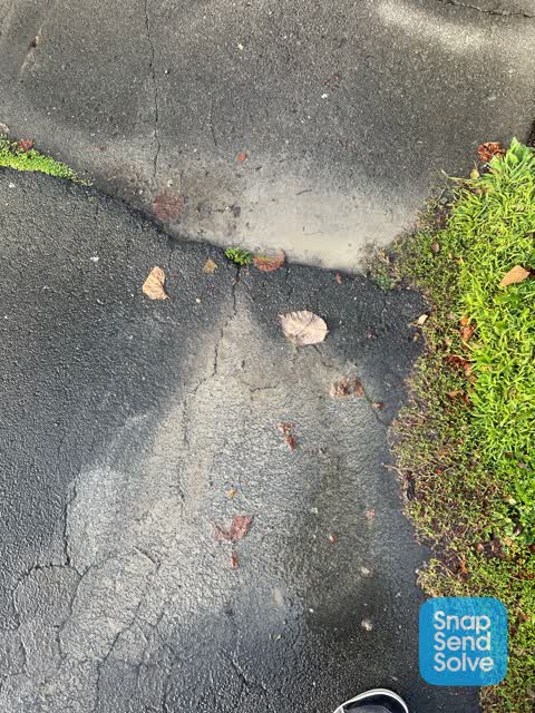Water Leak, a report photo