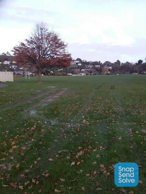 Parks, a report photo