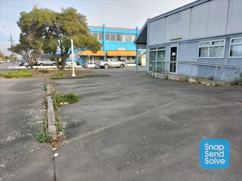 Parks — a report photo