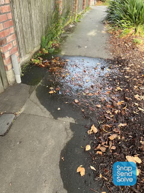 Water Leak, a report photo