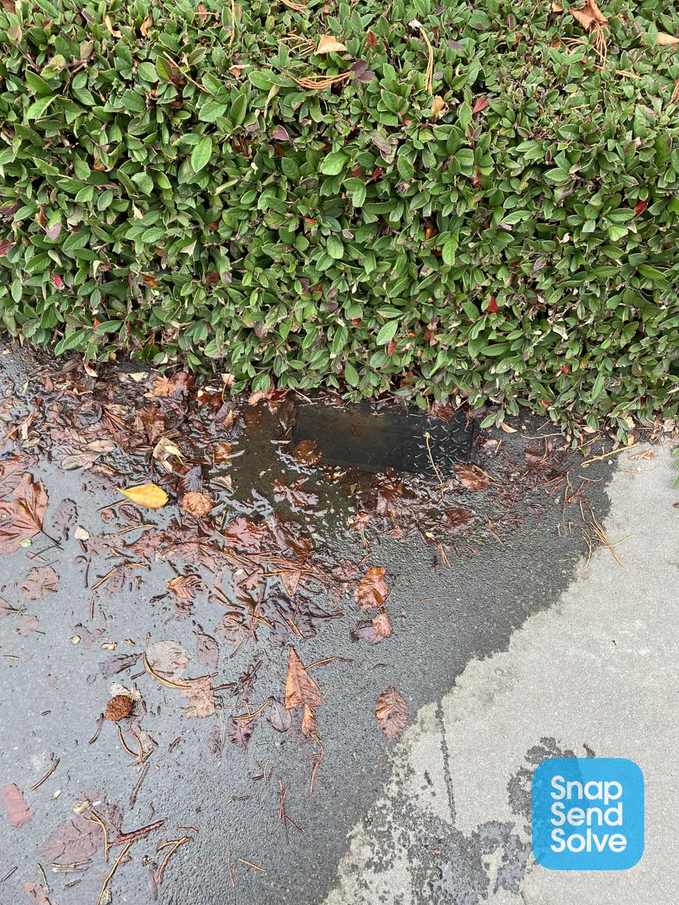 The photograph attached to this water leak report