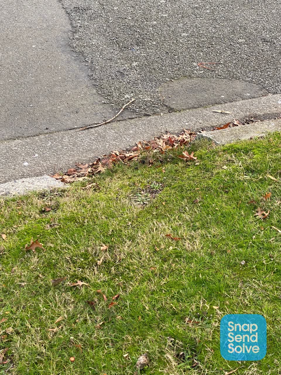 The photograph attached to this roading/streets report