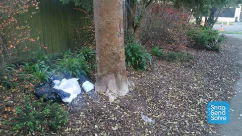 Rubbish/Recycling, a report photo