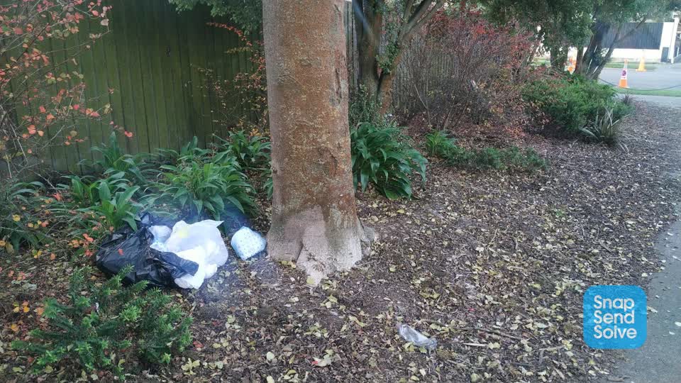 The photograph attached to this rubbish/recycling report