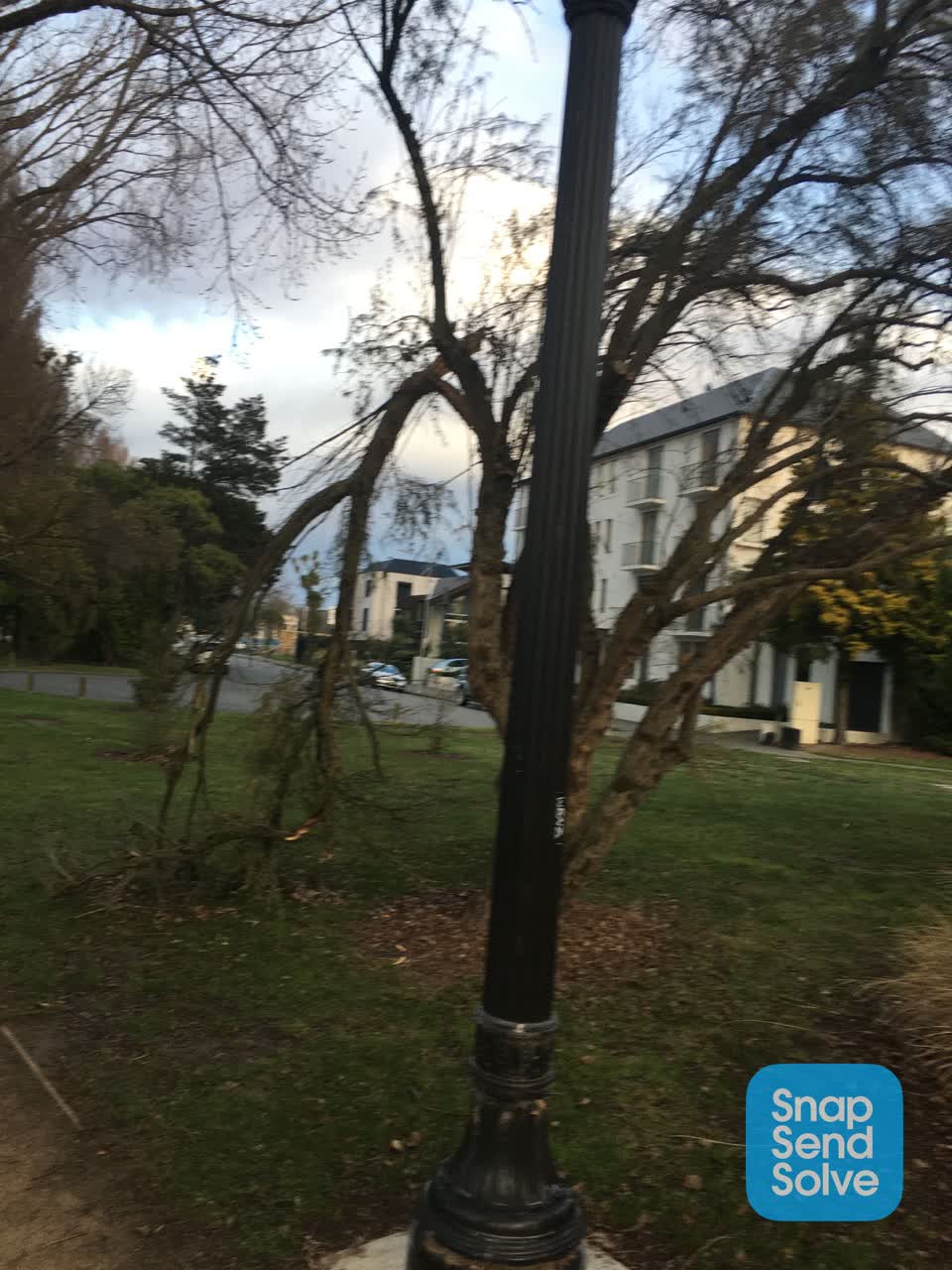 The photograph attached to this parks report