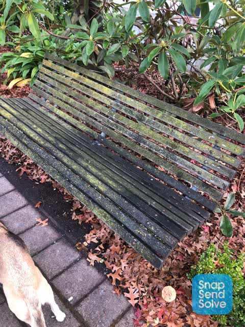 Parks — a report photo