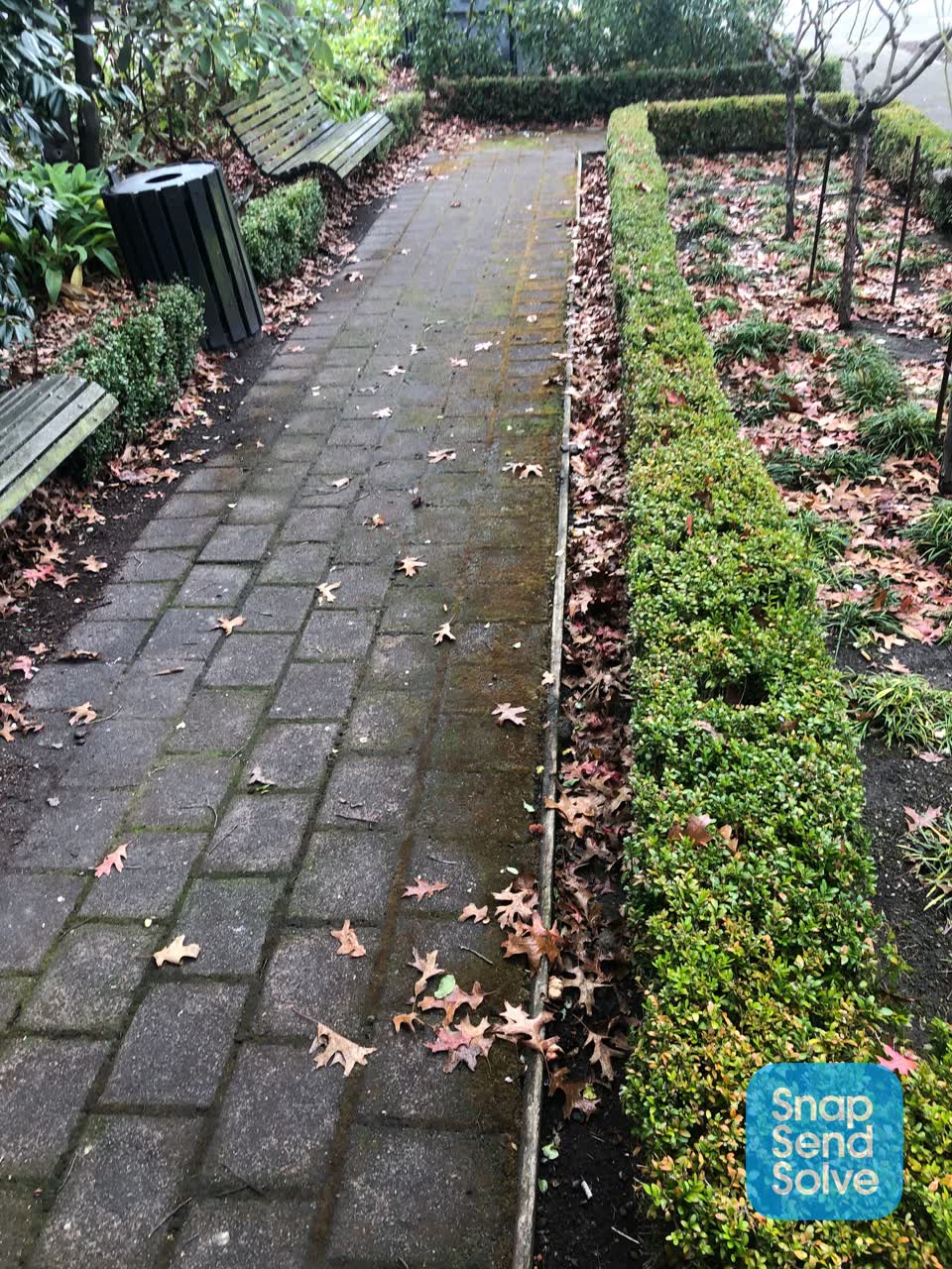 The photograph attached to this parks report